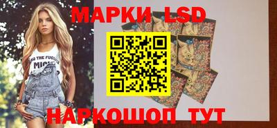 ALPHA PVP Нальчик