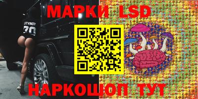 МДМА Можга