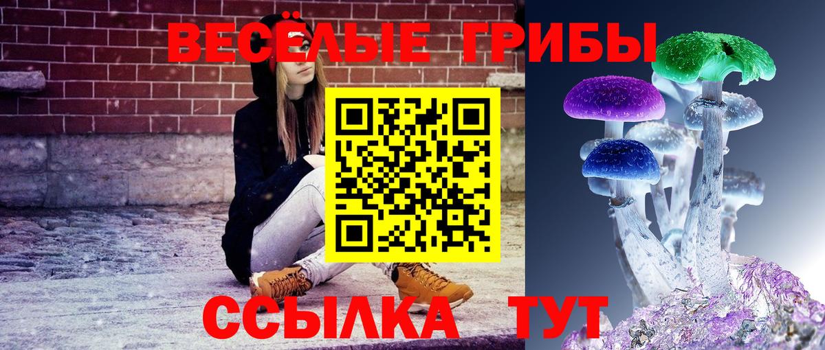 Псилоцибиновые грибы MAGIC MUSHROOMS Ступино